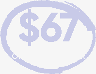 $67, One Time Payment